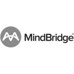 MindBridge